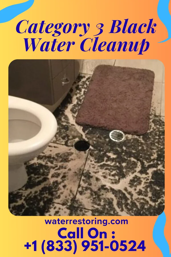 Category 3 Black Water Cleanup in Grove City, PA