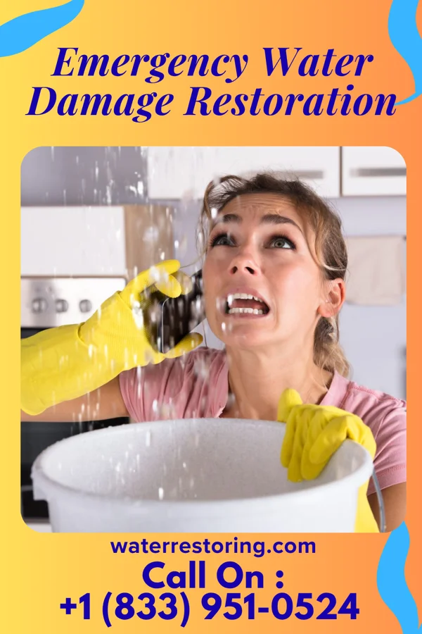 Emergency Water Damage Restoration in Grove City, PA