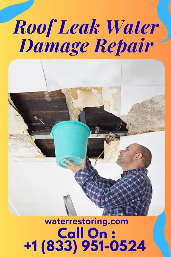 Roof Leak Water Damage Repair in Grove City, PA