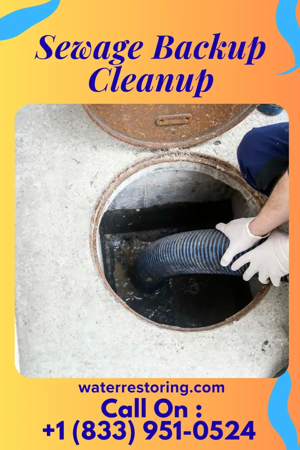 Sewage Backup Cleanup in Grove City, PA