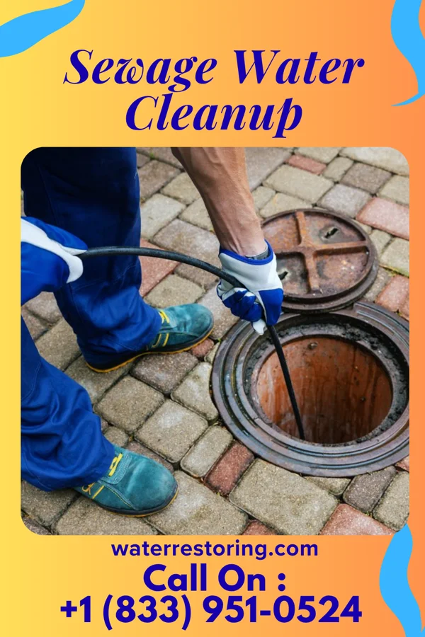 Sewage Water Cleanup in Grove City, PA